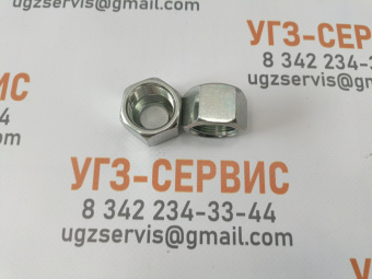 v8_00524461_20