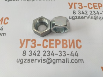 v8_00524461_14